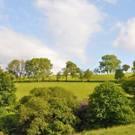 Hendre Aled Farmhouse Llansannan Kültér fotó