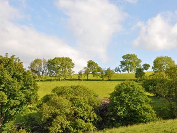 Hendre Aled Farmhouse Llansannan Kültér fotó